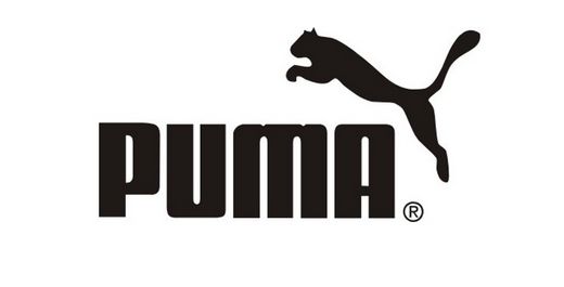 盘点世界十大著名运动鞋品牌标志