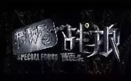 《战狼2》累计票房达45.77亿，排名全球票房top100，幕后的商标却死伤惨重！