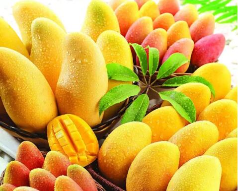 云南省共有中国驰名商标114件、省著名商标1979件