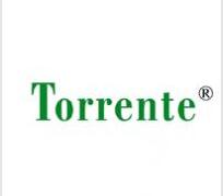 TORRENTE,让广告商标更前卫 TORRENTE,让广告商标更前卫