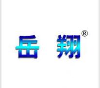 岳翔,让品牌飞跃翱翔 岳翔,让品牌飞跃翱翔