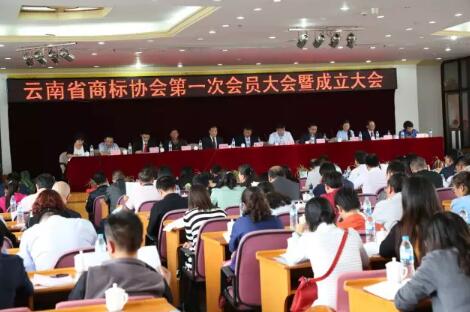 云南省商标协会成立    焦少良当选副会长
