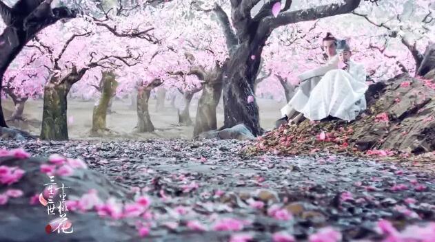 本周商标资讯直通车