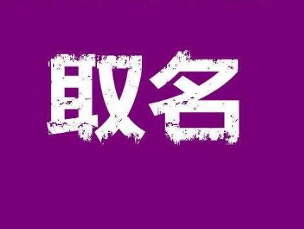 这篇商标取名的秘籍,你一定要收好! 这篇商标取名的秘籍,你一定要收好!