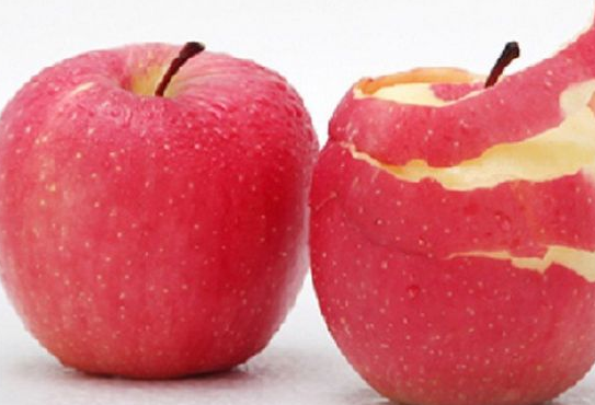 “凤翔苹果”成功申报国家地理标志证明商标 “凤翔苹果”成功申报国家地理标志证明商标