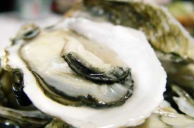 山东“文登蚝”成功注册为国家地理标志证明商标