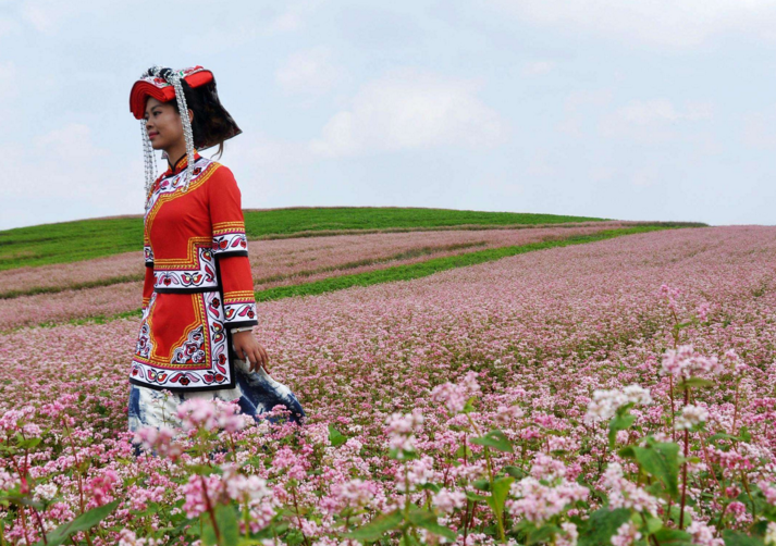 贵州“威宁苦荞”“威宁甜荞”商标注册申请获