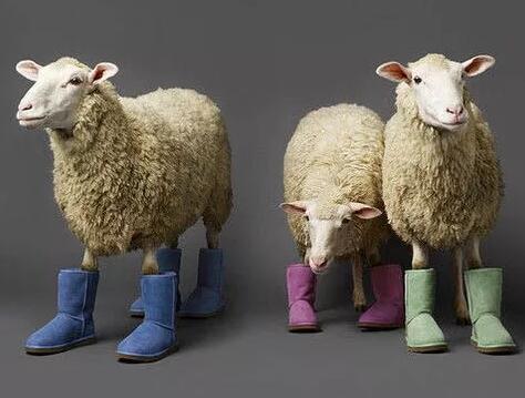 10月23日至10月27日一周商标新闻资讯大合集 10月23日至10月27日一周商标新闻资讯大合集