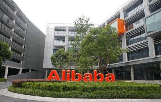 阿里巴巴全力打造象雄半细毛羊畜牧品牌