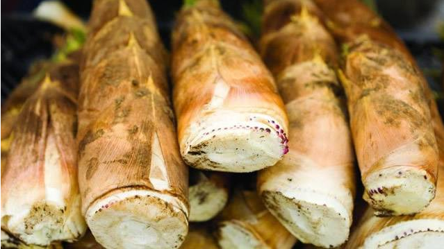 揭东区“埔田竹笋”已获国家工商总局商标局受