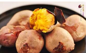 地瓜属于商标第几类？