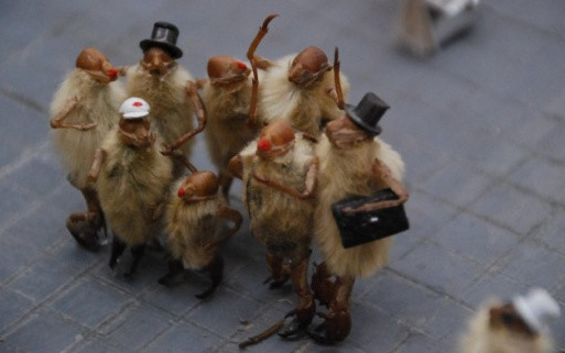 毛猴能通过专利保护吗？