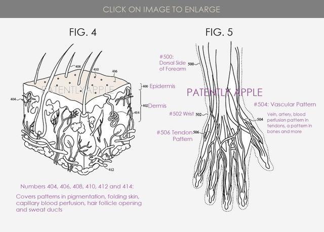 Apple Watch新专利曝光:以后解锁连密码都不用输了? Apple Watch新专利曝光:以后解锁连密码都不用输了?