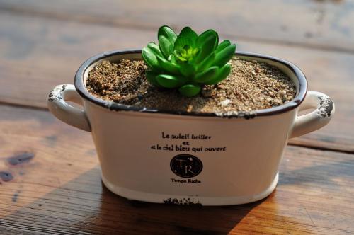 花盆商标注册属于哪一类? 花盆商标注册属于哪一类?