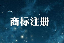 拿什么来保护你?网络空间里的驰名商标! 拿什么来保护你?网络空间里的驰名商标!