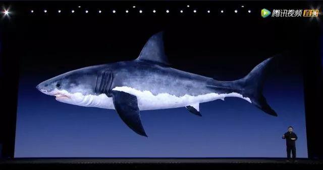 罗永浩变身鲨纹科技合伙人,商标却被别人抢注了?