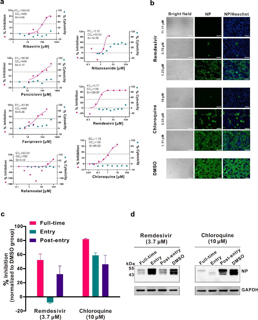 武汉病毒所“抢注”专利:疫情下的“非常规操作” ?